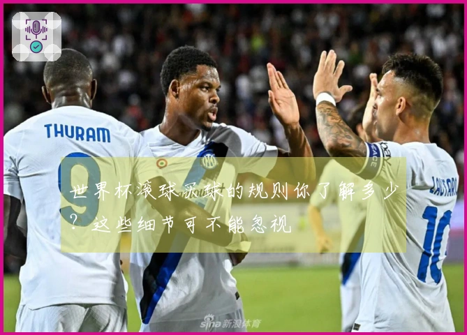 世界杯滚球买球的规则你了解多少？这些细节可不能忽视