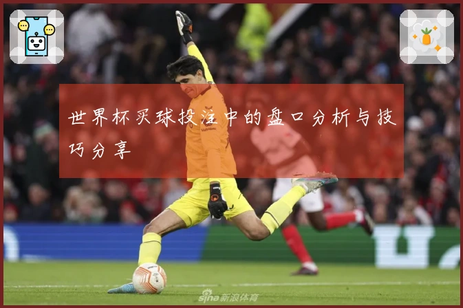世界杯买球投注中的盘口分析与技巧分享