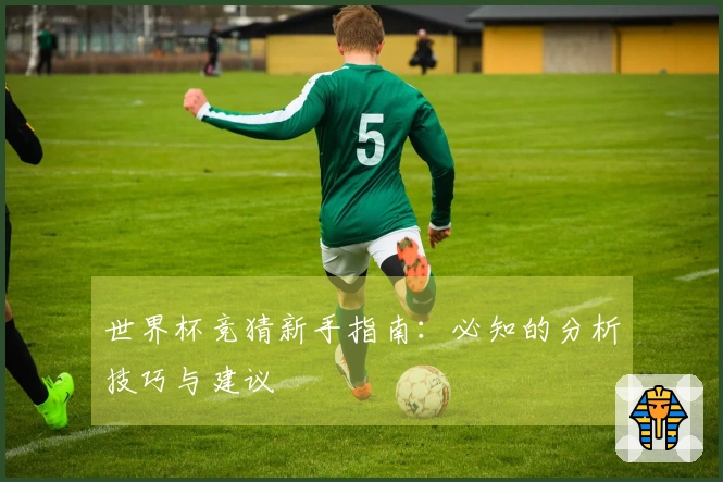 世界杯竞猜新手指南：必知的分析技巧与建议