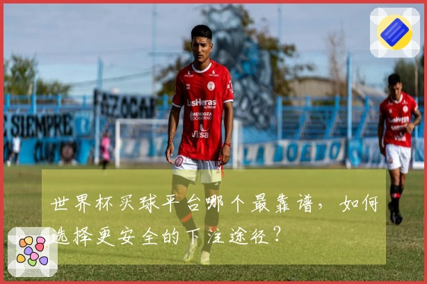世界杯买球平台哪个最靠谱，如何选择更安全的下注途径？