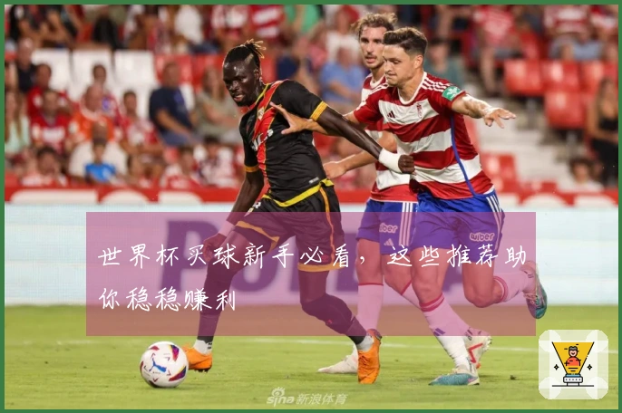 世界杯买球新手必看，这些推荐助你稳稳赚利