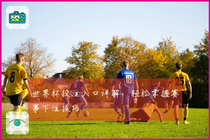 世界杯投注入口详解，轻松掌握赛事下注技巧