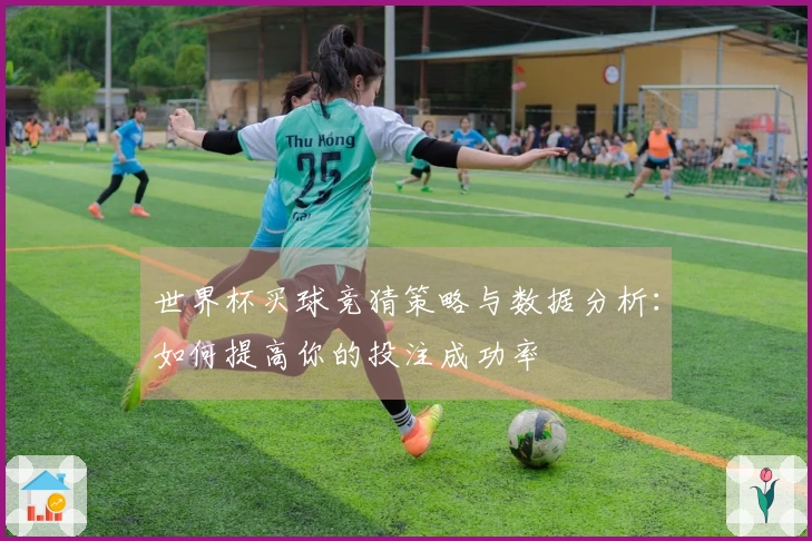 世界杯买球竞猜策略与数据分析：如何提高你的投注成功率
