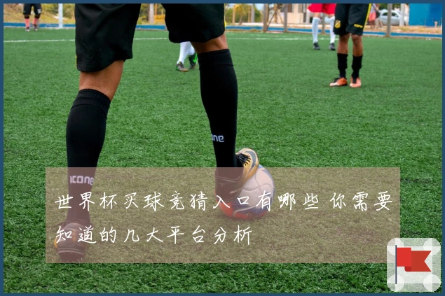 世界杯买球竞猜入口有哪些 你需要知道的几大平台分析