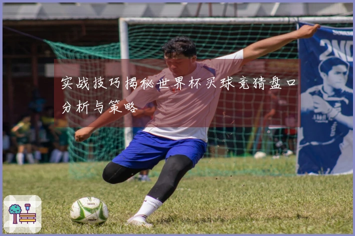 实战技巧揭秘世界杯买球竞猜盘口分析与策略