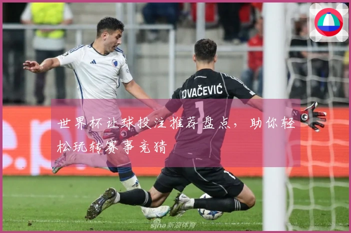 世界杯让球投注推荐盘点，助你轻松玩转赛事竞猜