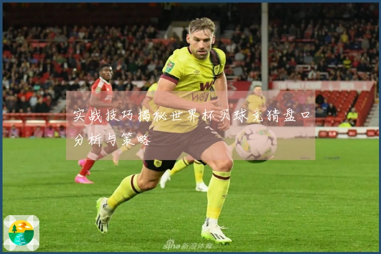 实战技巧揭秘世界杯买球竞猜盘口分析与策略