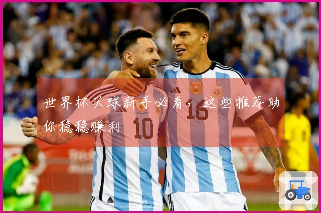 世界杯买球新手必看，这些推荐助你稳稳赚利