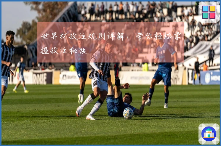 世界杯投注规则详解，带你轻松掌握投注秘诀