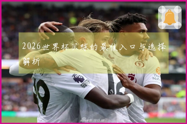 2026世界杯买球的最佳入口与选择解析